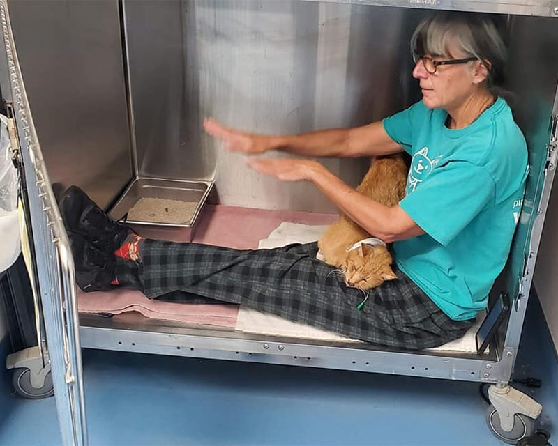 Volunteer comforting cat in medical - The Seven Freedoms- Promises We Must Make Now to Protect Pets