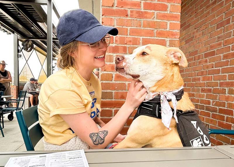Dog Day Out Starter Guide - VCA Charities and Outcomes for Pets Consulting