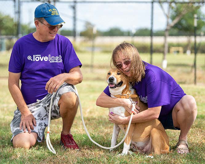 From Intake to Engagement: Keeping and Getting More Lost Pets Home