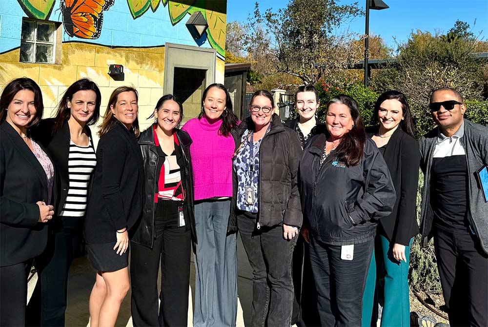 Outcomes for Pets animal shelter consultant team during a workshop